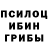 Псилоцибиновые грибы прущие грибы Eseniya 2004
