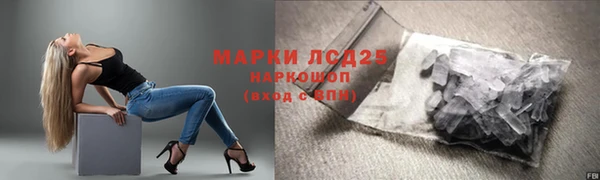 сатива Алзамай