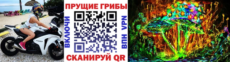 ОМГ ОМГ ТОР  Туймазы  Псилоцибиновые грибы Psilocybe 
